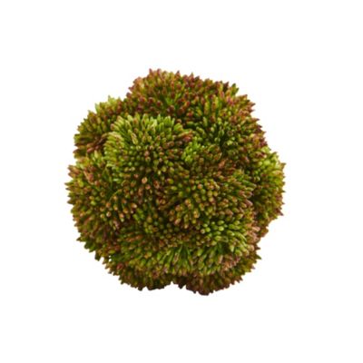 4-In. Sedum Artificial Succulent Artificial Spheres, Set of 6