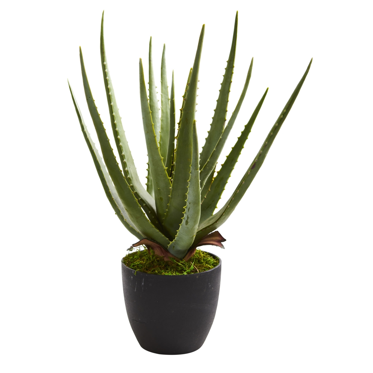 NEARLY NATURAL ALOE ARTIFICIAL PLANT, SET OF 2 
