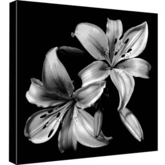 PTM Images Decorative Canvas Wall Art - Macy's