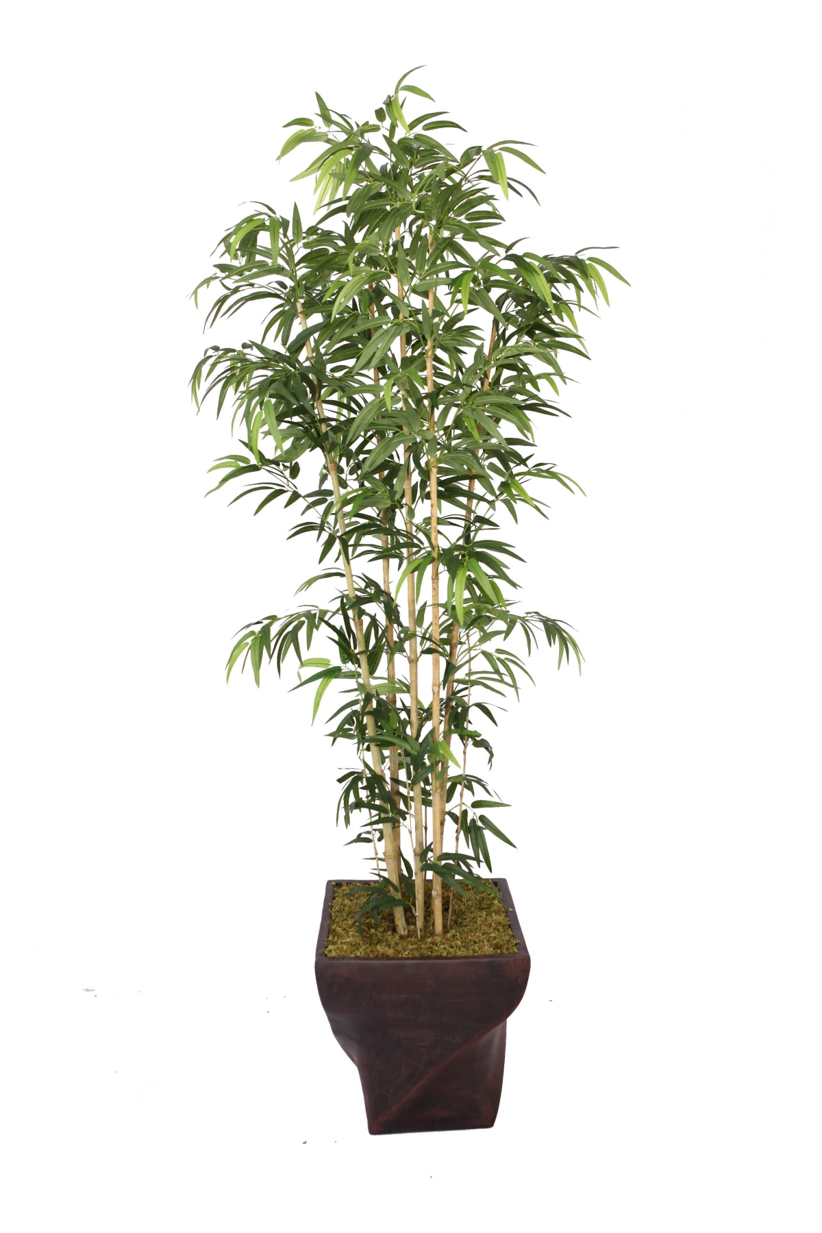 Artificial Faux Real Touch 82" Tall Natural Bamboo Tree And 17" Planter - Assorted