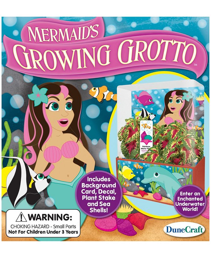 DuneCraft Plant Cube Mermaid's Growing Grotto Macy's