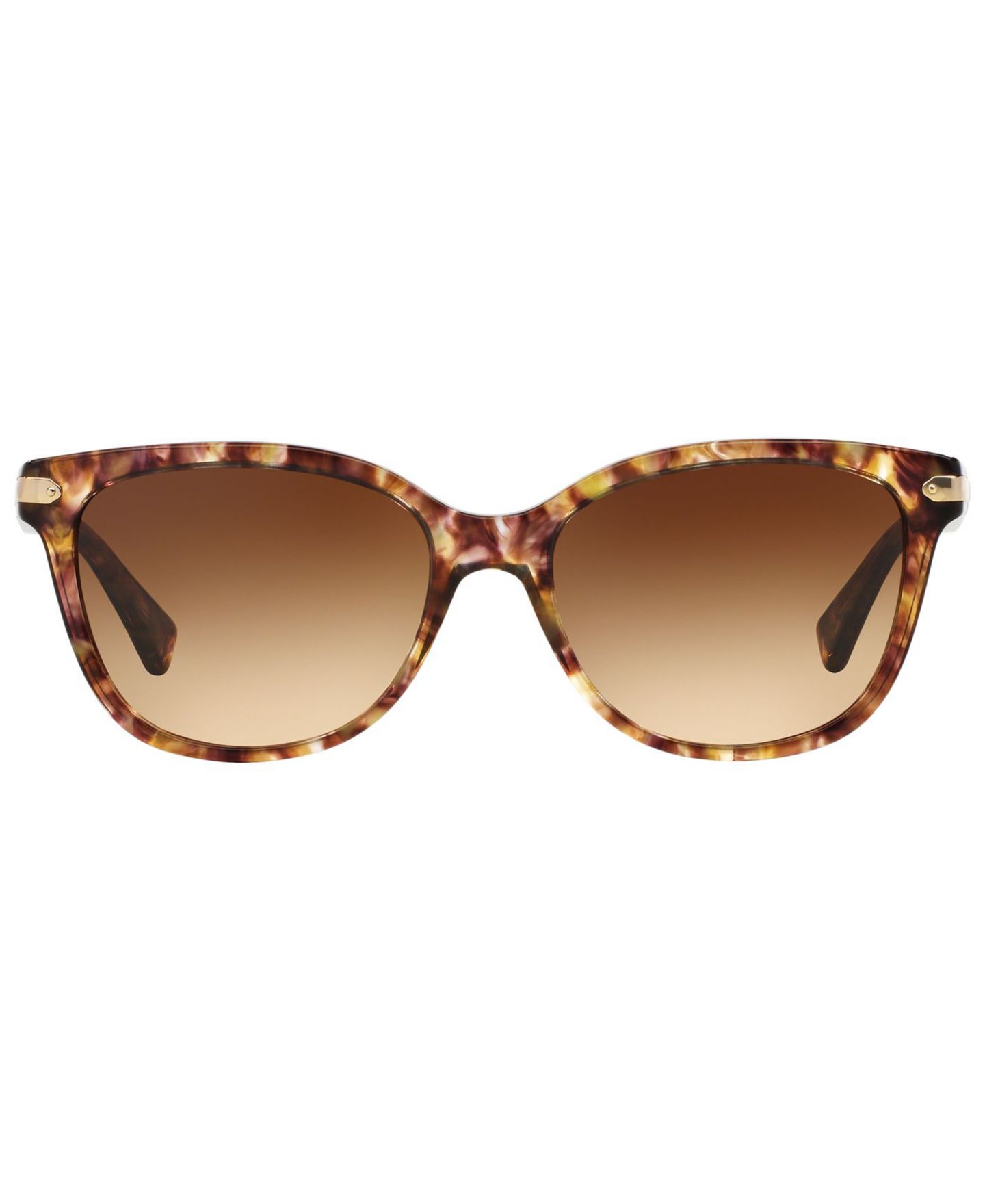 Женские солнцезащитные очки COACH Sunglasses, HC8132, цвет: Коричневый / Коричневый градиентный — фото 2