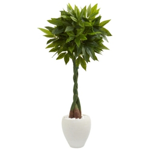 NEARLY NATURAL 5' MONEY ARTIFICIAL TREE IN WHITE OVAL PLANTER 