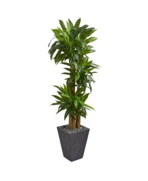 Nearly Natural 5.5' Cornstalk Dracaena Artificial Plant In Slate Planter In Green