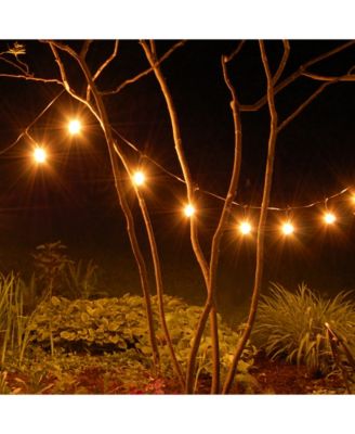 Lumabase 12 Commercial Edison Electric String Lights