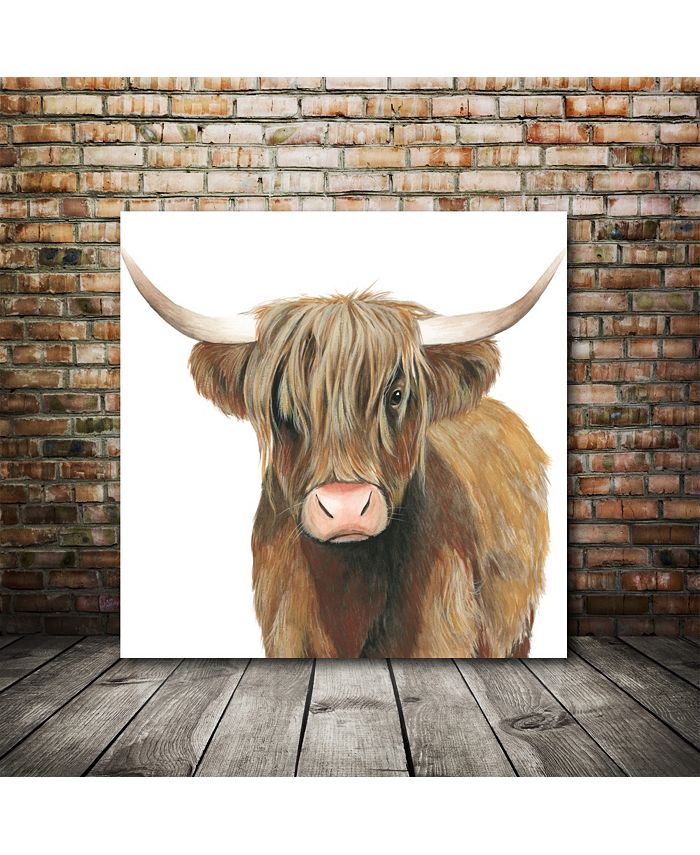 Courtside Market Highland Cattle II Gallery-Wrapped Canvas Wall Art ...