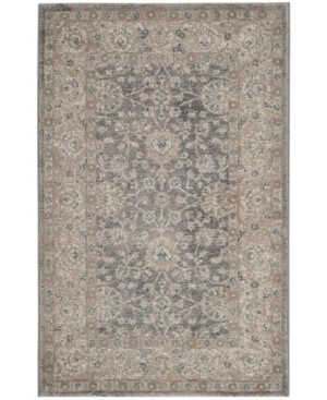 Safavieh Sofia Light Gray and Beige 3' x 5' Area Rug