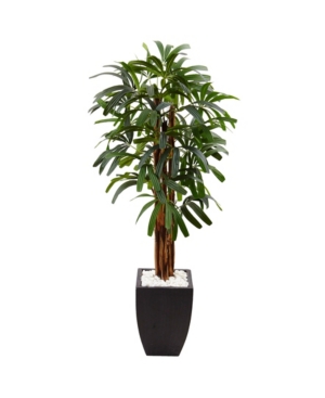 Nearly Natural 5.5' Raphis Palm Artificial Tree In Black Planter In Green