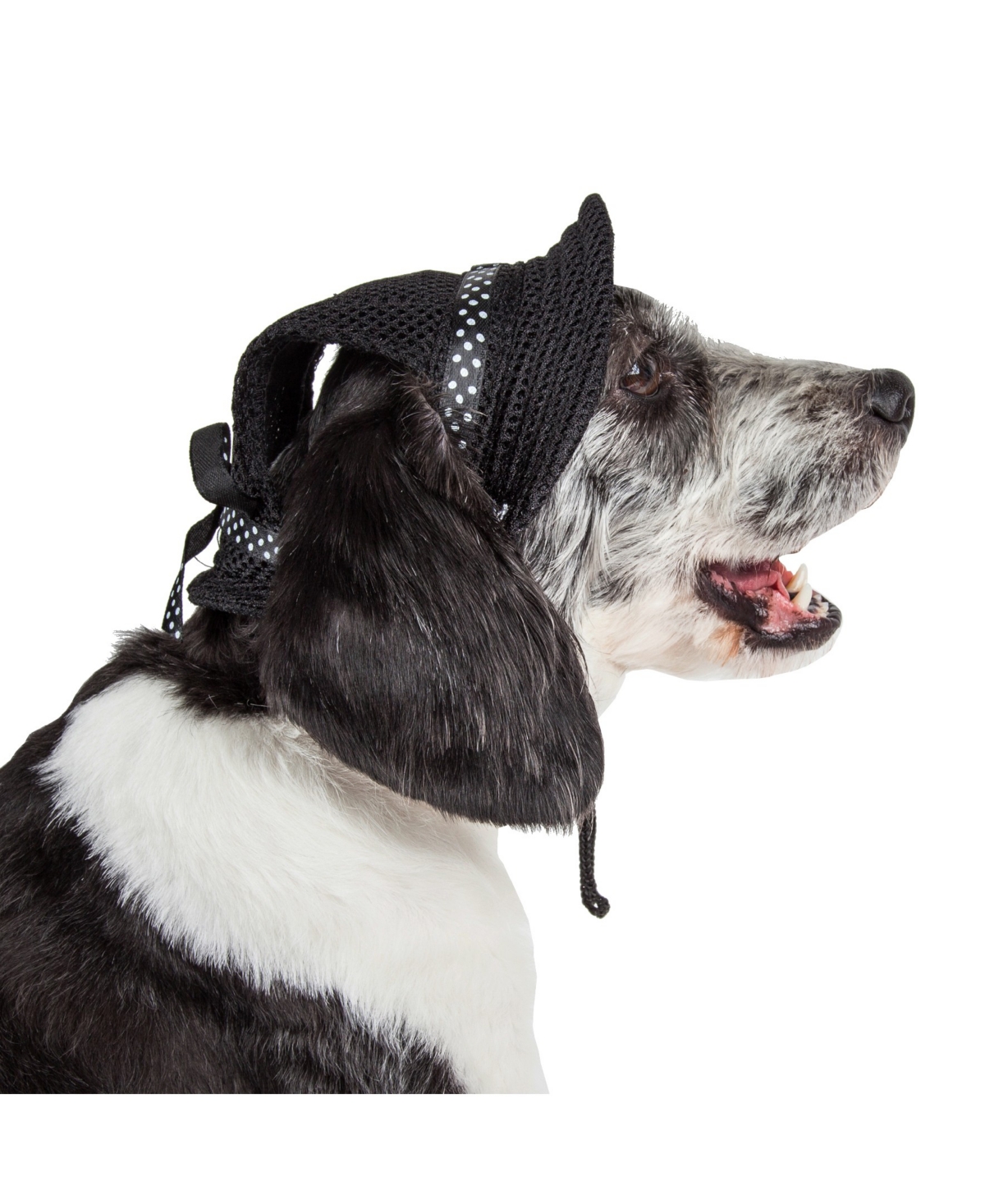 'Sea Spot Sun' Uv Protectant Adjustable Mesh Brimmed Dog Hat Cap - Black