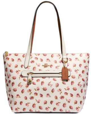 coach fruit bag