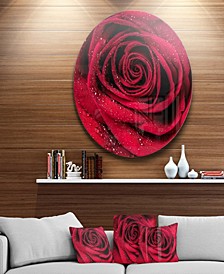 Designart 'Red Rose Petals With Rain Droplets' Ultra Glossy Floral Metal Circle Wall Art - 23" x 23"