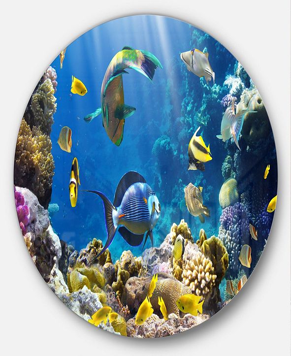 Design Art Designart 'Fish In Coral Reef' Disc Seascape Photography