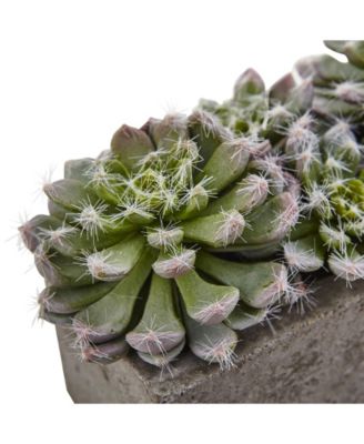 Nearly Natural Succulent Garden w/Textured Concrete Planter