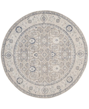 Safavieh Patina Taupe and Ivory 6'7in x 6'7in Round Area Rug