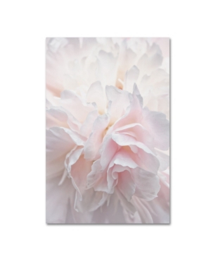 Trademark Global Cora Niele 'pink Peony Petals Iv' Canvas Art In Multi