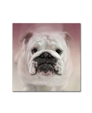 Trademark Global Jai Johnson 'got Treat Bulldog Puppy' Canvas Art In Multi
