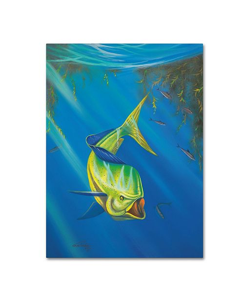 Trademark Global Geno Peoples Mahi Mahi Canvas Art 24 X 18 X
