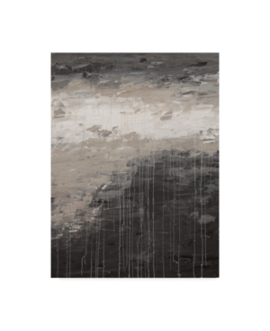 Trademark Global Hilary Winfield 'lithosphere Gray Paint' Canvas Art In Multi