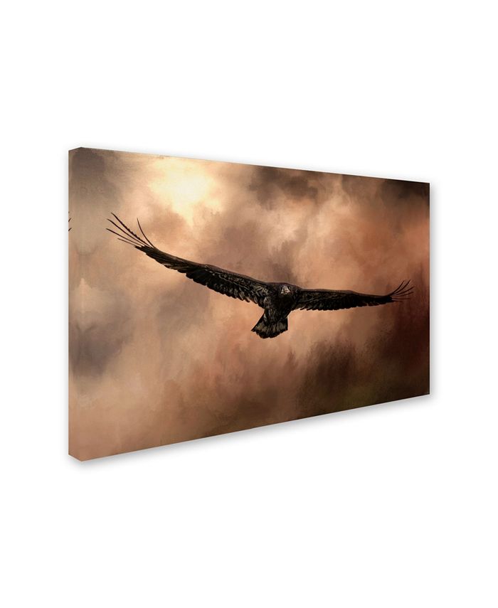 Trademark Global Jai Johnson 'Juvenile Bald Eagle In The Sepia Sky ...