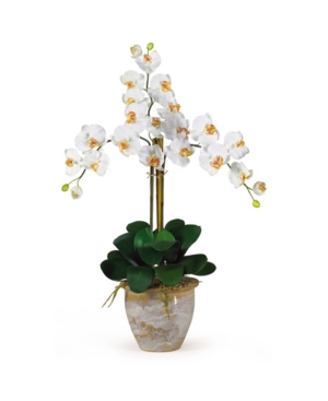 NEARLY NATURAL TRIPLE PHALAENOPSIS SILK ORCHID FLOWER ARRANGEMENT 