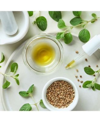 Kiehl's Since 1851 Cannabis Sativa Seed Oil Herbal Concentrate, 1-oz.