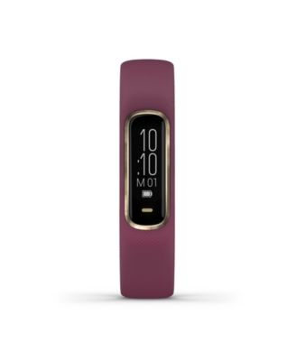 vivosmart 4 berry