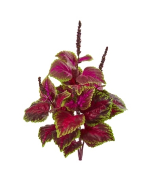 Nearly Natural 23" Coleus Bush Artificial Plant (set Of 6) In Pink