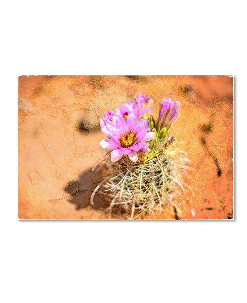Trademark Global Lightbox Journal Desert Flower 4 Canvas Art