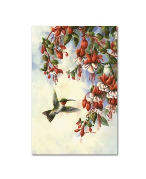 Trademark Global Wanda Mumm 'hummingbird D' Canvas Art In Multi