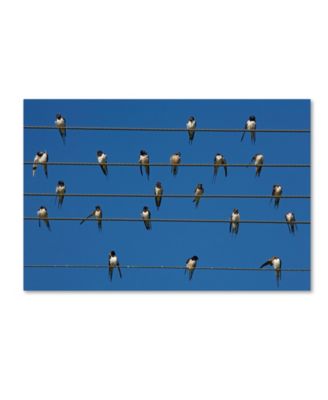 Robert Harding Picture Library 'Small Birds' Canvas Art - 47
