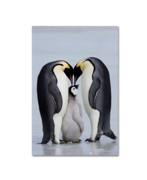 Trademark Global Robert Harding Picture Library 'two Penguins' Canvas Art In Multi