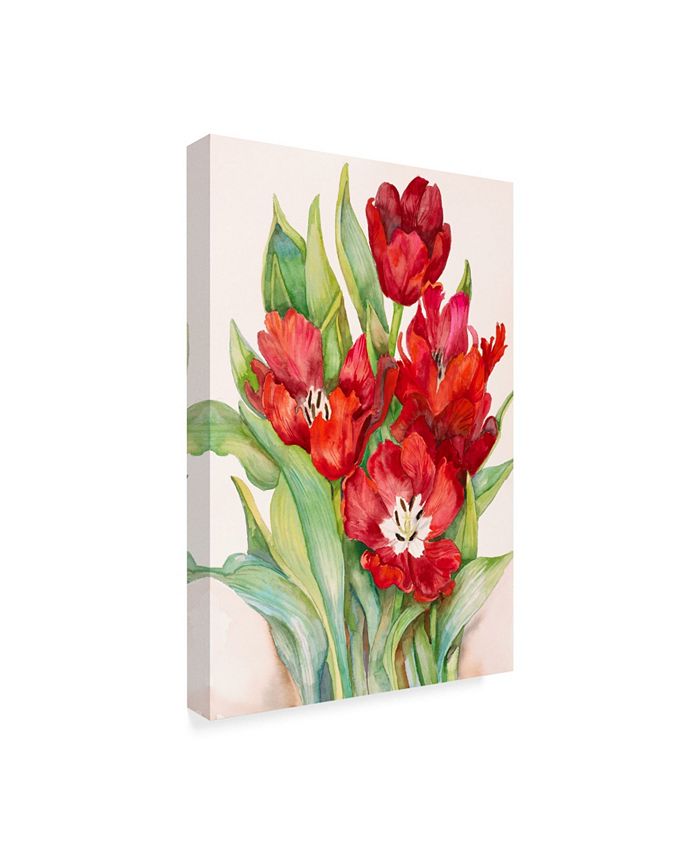 Trademark Global Joanne Porter 'Tulips Opening Up' Canvas Art - 24