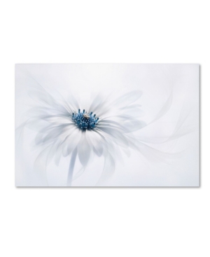 Trademark Global Jacky Parker 'serenity' Canvas Art In Multi
