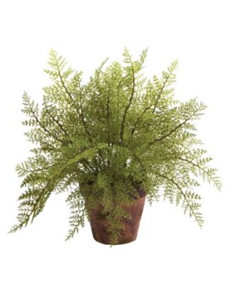 Fern w/ Decorative Planter, Set of 2