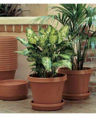 Bloem Terra 12" Pot Planter - Macy's