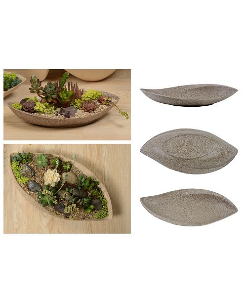 Bloem Eco Modern Planter Tray With Succulent Cactus Leaf Plant Bowl Pot Reviews All Botanicals Home Decor Macy S