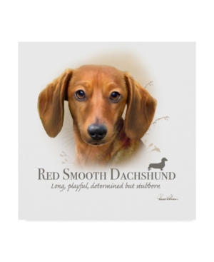 Trademark Global Howard Robinson 'red Smooth Dachshund' Canvas Art In Multi
