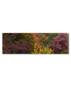 UPC 886511702028 product image for Kurt Shaffer 'Autumn's Diversity' Canvas Art - 16