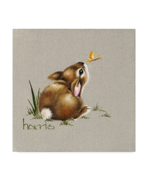 Trademark Global Peggy Harris 'tiny Bunny' Canvas Art In Multi