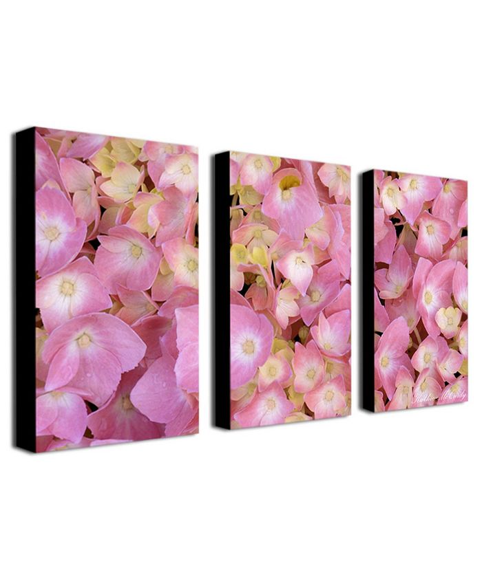 Trademark Global Kathie McCurdy 'Pink Hydrangea' Canvas Art Set - 32