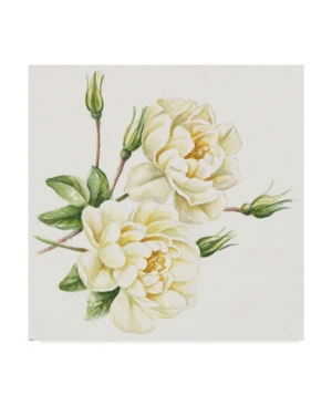 Trademark Global Janneke Brinkman-salentijn 'single Yellow Rose' Canvas Art In Multi