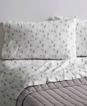Ed Ellen DeGeneres Printed Cotton Percale King Sheet Set Bedding