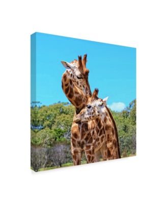 Trademark Global Incredi 'Two Giraffes Wildlife' Canvas Art - 14" x 14"