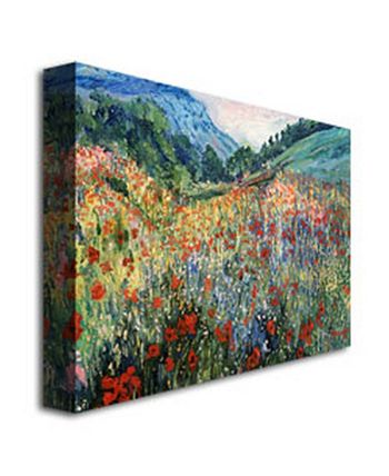 Trademark Global 'Field of Wild Flowers' Canvas Art - 24