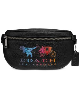 coach dinosaur purse macys