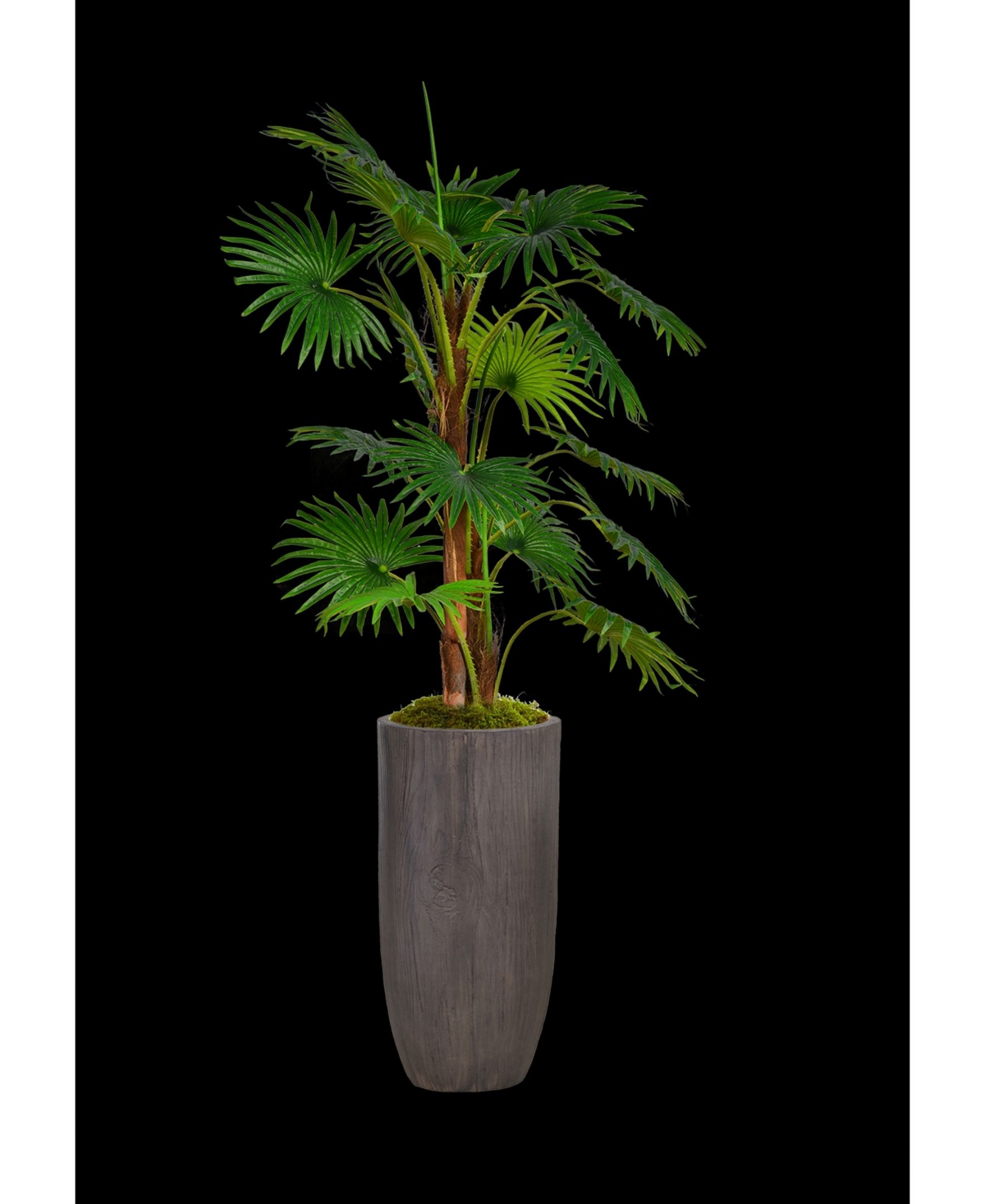 62.25" Tall Fan Palm Tree Faux decor with Burlap Kit in Resin Planter - Brown