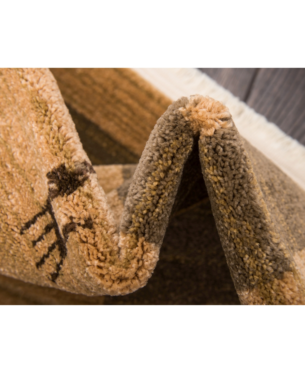 Bayshore Home Ojas Oja1Area Rug - Tan