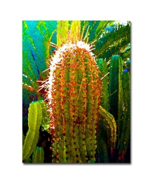 Trademark Global Amy Vangsgard 'tall Cactus' Canvas Art In Multi