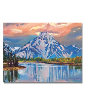 Trademark Global David Lloyd Glover 'majestic Blue Mountain' Canvas Art In Multi