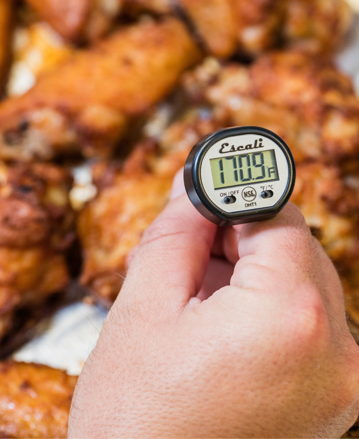 Escali Corp Digital Pocket Thermometer Nsf Listed